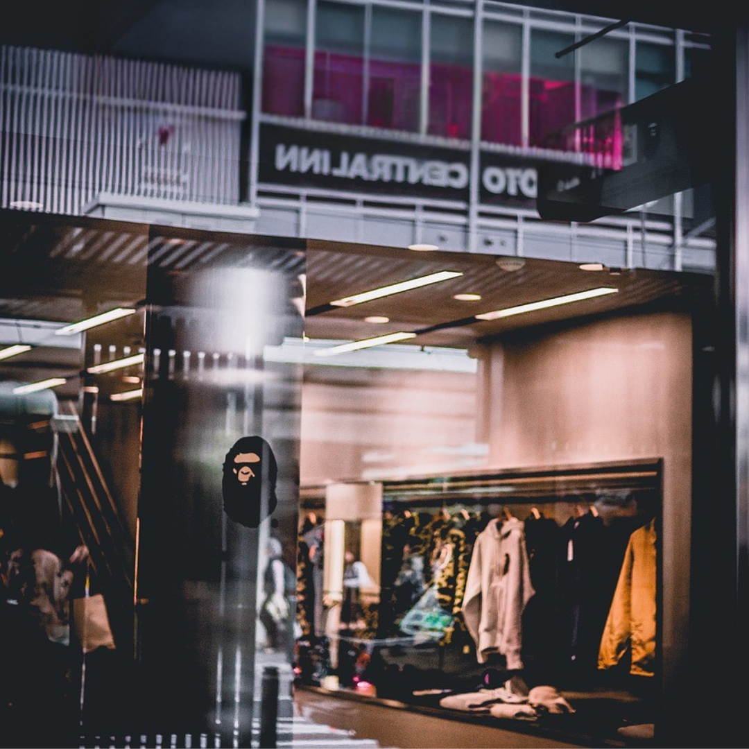 Elegance world™ - giacca donna inverno